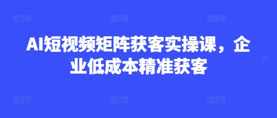 AI短视频矩阵获客实操课，企业低成本精准获客-一品创网
