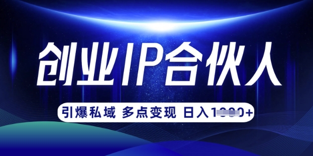 云帆·创业ip合伙人打造3.0，从0到1教你做网创，实现月入过W-一品创网