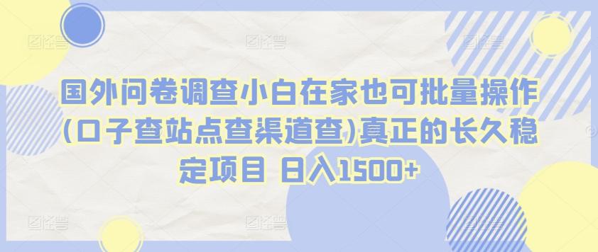 国外问卷调查小白在家也可批量操作(口子查站点查渠道查)真正的长久稳定项目 日入1500+【揭秘】-一品创网