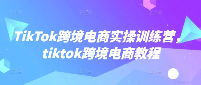 TikTok跨境电商实操训练营，tiktok跨境电商教程-一品创网