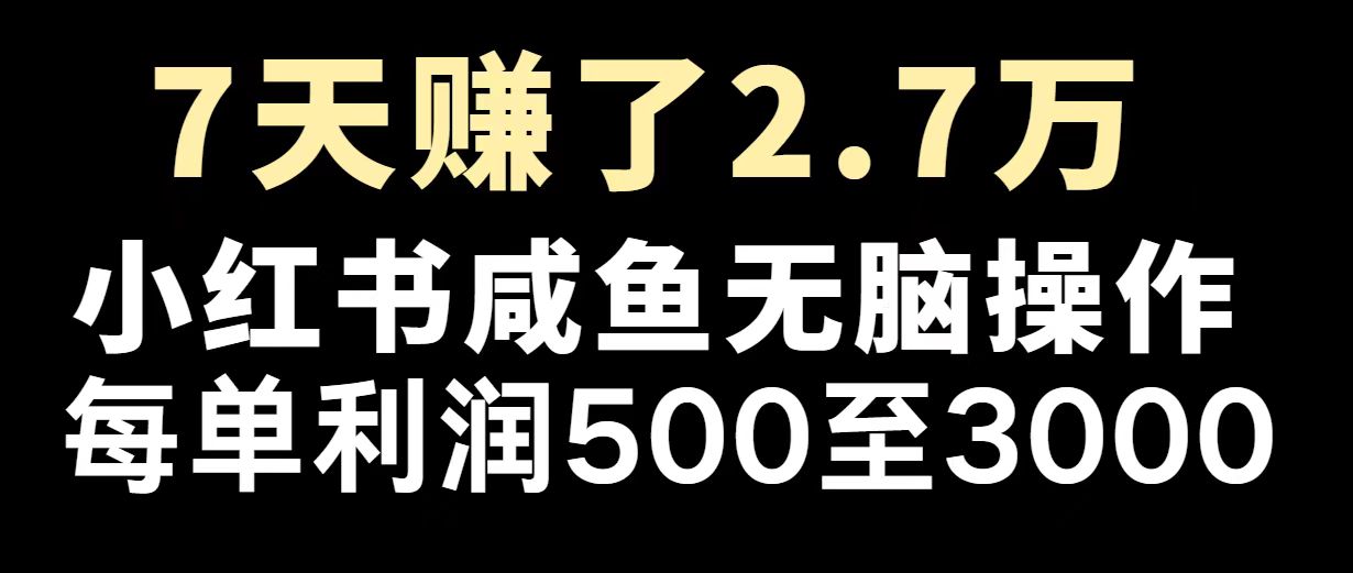 最赚钱项目之一，2025爆火，逆风翻盘！-一品创网