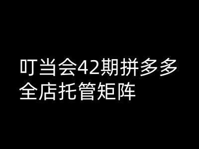 叮当会拼多多打爆班原创高阶技术第42期，拼多多全店托管矩阵-一品创网