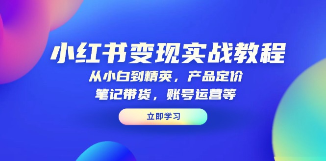 小红书变现实战教程：从小白到精英，产品定价，笔记带货，账号运营等-一品创网