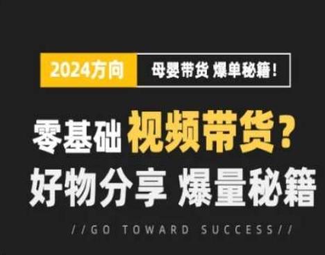 短视频母婴赛道实操流量训练营，零基础视频带货，好物分享，爆量秘籍-一品创网