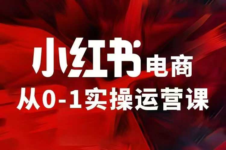 小红书电商运营，97节小红书vip内部课，带你实现小红书赚钱-一品创网