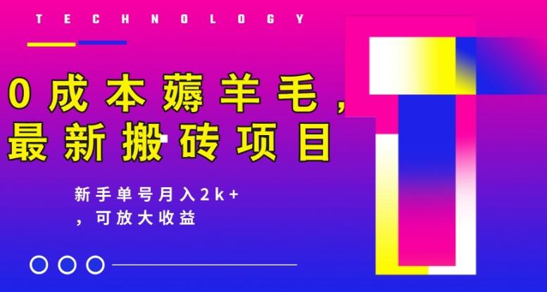 0成本薅羊毛，最新搬砖项目，新手单号月入2k+，可放大操作-一品创网