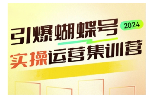 引爆蝴蝶号实操运营，助力你深度掌握蝴蝶号运营，实现高效实操，开启流量变现之路-一品创网