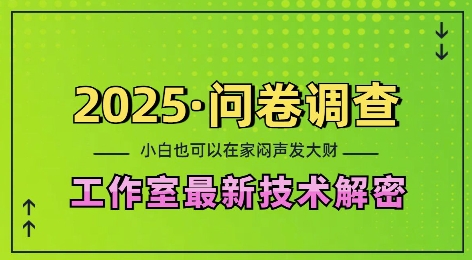 2025问卷调查最新工作室技术解密：一个人在家也可以闷声发大财，小白一天2张，可矩阵放大【揭秘】-一品创网