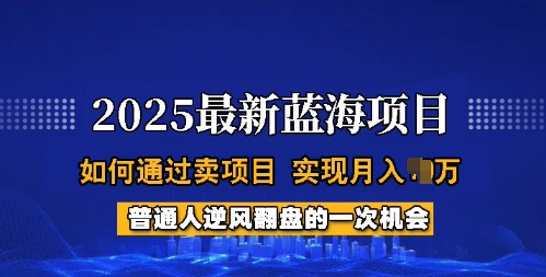 2025蓝海项目，普通人如何通过卖项目，实现月入过W，全过程【揭秘】-一品创网
