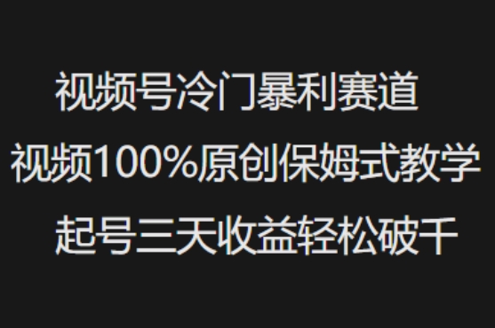 视频号冷门暴利赛道视频100%原创保姆式教学起号三天收益轻松破千-一品创网