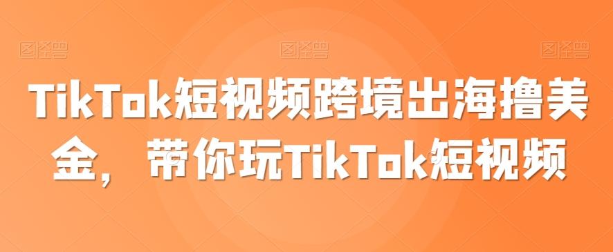 TikTok短视频跨境出海撸美金，带你玩TikTok短视频-一品创网