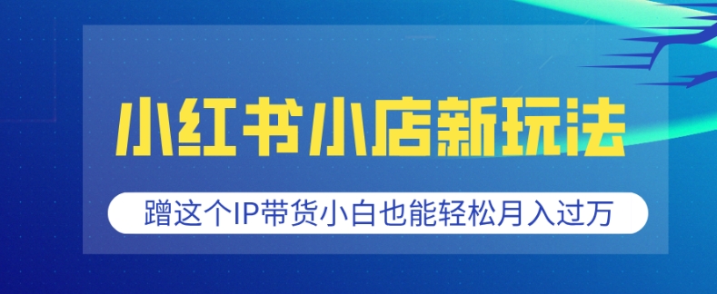 小红书小店新玩法，蹭这个IP带货，小白也能轻松月入过W【揭秘】-一品创网