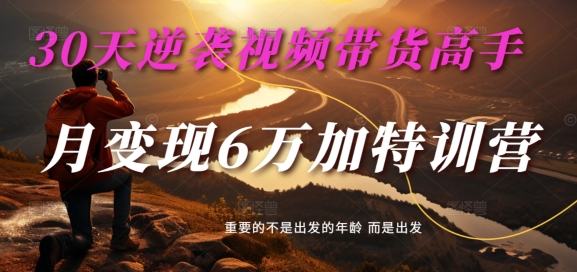 30天逆袭视频带货高手，单月变现6万加特训营-麦子甜-一品创网