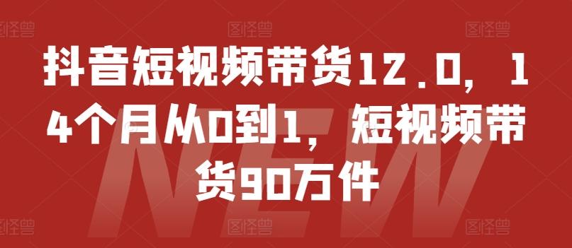 抖音短视频带货12.0，14个月从0到1，短视频带货90万件-一品创网
