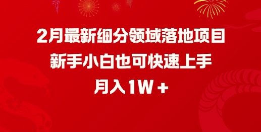 2月最新细分领域落地项目，新手小白也可快速上手，月入1W-一品创网