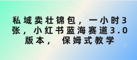 私域卖壮锦包，一小时3张，小红书蓝海赛道3.0版本， 保姆式教学-一品创网