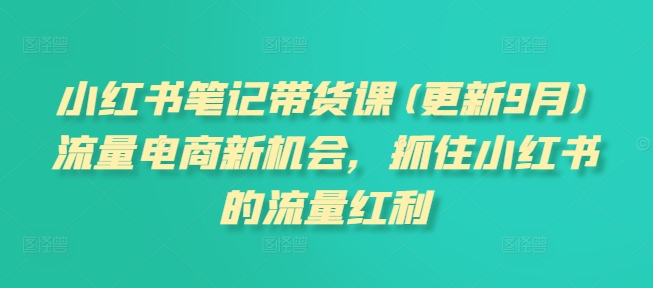 小红书笔记带货课(更新25年3月)流量电商新机会，抓住小红书的流量红利-一品创网