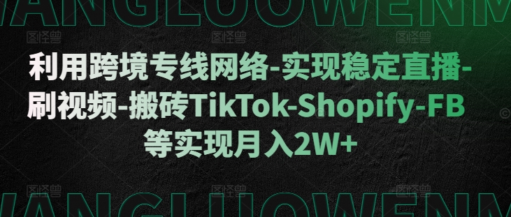 利用跨境专线网络-实现稳定直播-刷视频-搬砖TikTok-Shopify-FB等实现月入2W+【揭秘】-一品创网