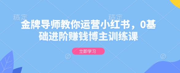 金牌导师教你运营小红书，0基础进阶赚钱博主训练课-一品创网