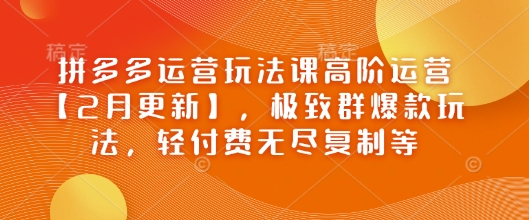 拼多多运营玩法课高阶运营【2月更新】，极致群爆款玩法，轻付费无尽复制等-一品创网