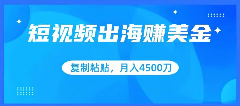 短视频出海赚美金，复制粘贴批量操作，小白轻松掌握，月入4500美刀【揭秘】-一品创网