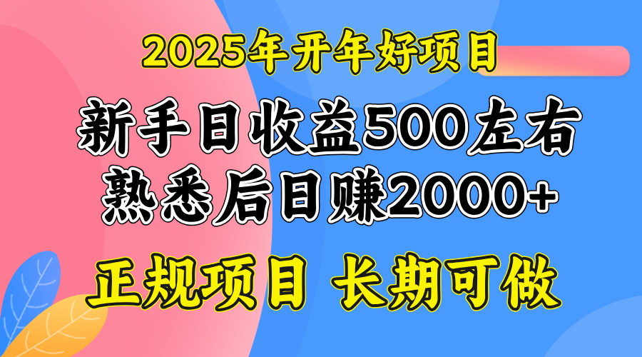 2025开年好项目，单号日收益2000左右-一品创网