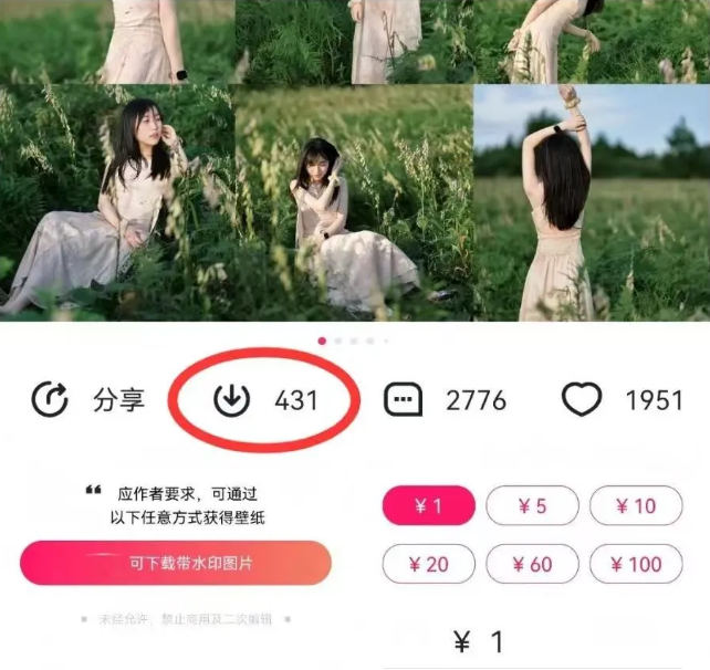 最新图虫搬运项目，收益无上限，利用AI小白也可日赚500+-一品创网