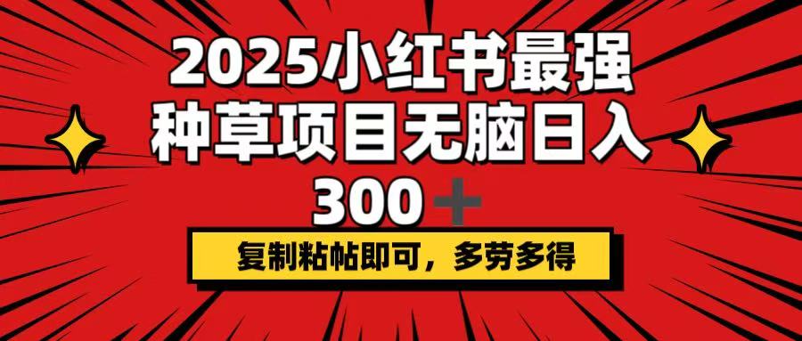 2025小红书最强种草项目，无脑日入300+，复制粘帖即可，多劳多得-一品创网