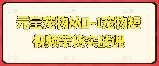 元宝宠物从0~1宠物短视频带货实战课-一品创网
