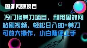 冷门撸美刀项目，利用国外网站刷视频，轻松日入80+美刀，可放大操作，小白随便上手-一品创网