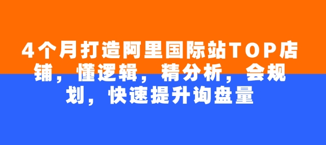 4个月打造阿里国际站TOP店铺，懂逻辑，精分析，会规划，快速提升询盘量-一品创网