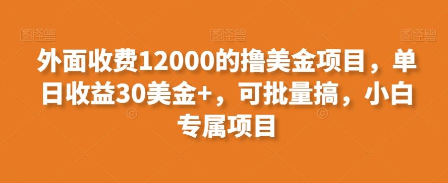 外面收费12000的撸美金项目，单日收益30美金+，可批量搞，小白专属项目-一品创网