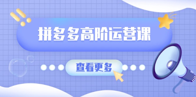 拼多多高阶运营课：极致群爆款玩法，轻付费无尽复制，打造单品爆款之路-一品创网