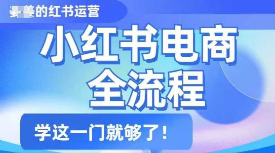 小红书电商全流程，精简易懂，从入门到精通，学这一门就够了-一品创网