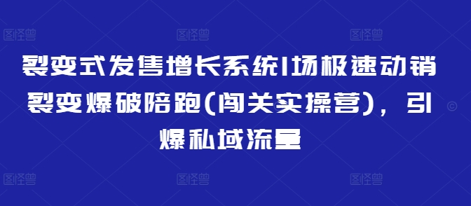 裂变式发售增长系统1场极速动销裂变爆破陪跑(闯关实操营)，引爆私域流量-一品创网