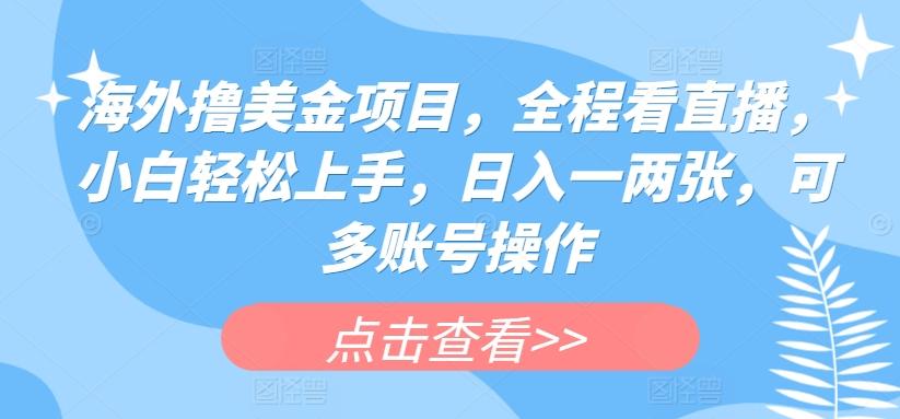 海外撸美金项目，全程看直播，小白轻松上手，日入一两张，可多账号操作【揭秘】-一品创网