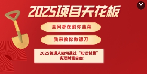 2025项目天花板普通人如何通过知识付费，实现财F自由【揭秘】-一品创网